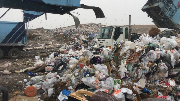 Российские мусорные операторы получили от властей 8,9 млрд рублей в пандемию 