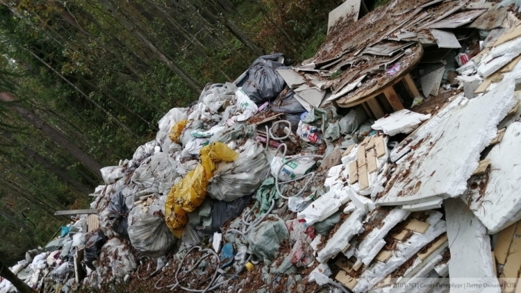 Фотоловушки помогут выявлять незаконный сброс мусора в Подмосковье 